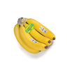 BANANA ORGANIC (5PC) - Buy Organic Foods Online Vancouver