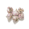 ORGANIC GARLIC (2PC)