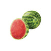 WATERMELON MINI