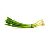 ONION GREEN
